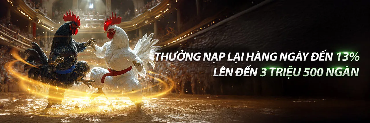 Xem đá gà trực tiếp tại LUCKY88 với trường gà Campuchia và Thomo